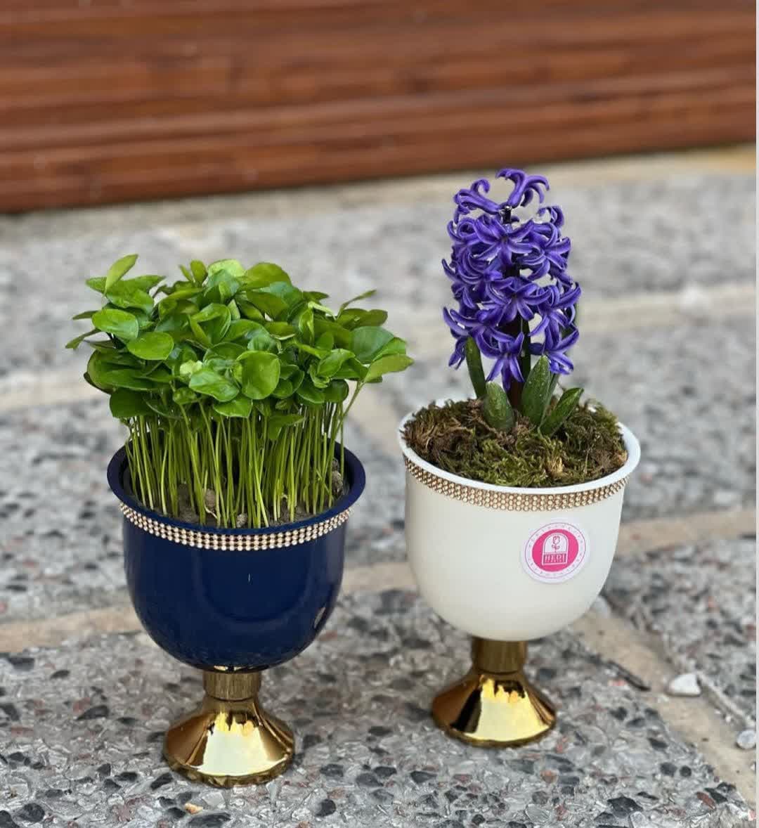 model sabzeh eid (12)