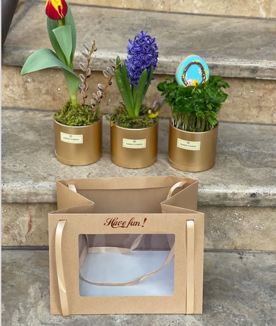 model sabzeh eid (18)