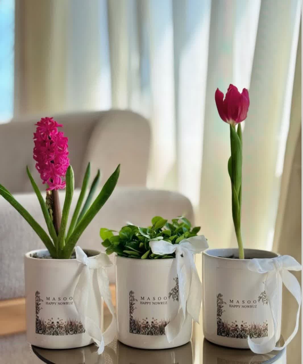 model sabzeh eid (19)