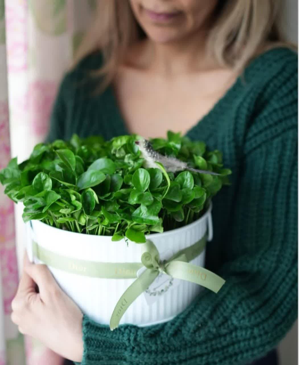 model sabzeh eid (23)