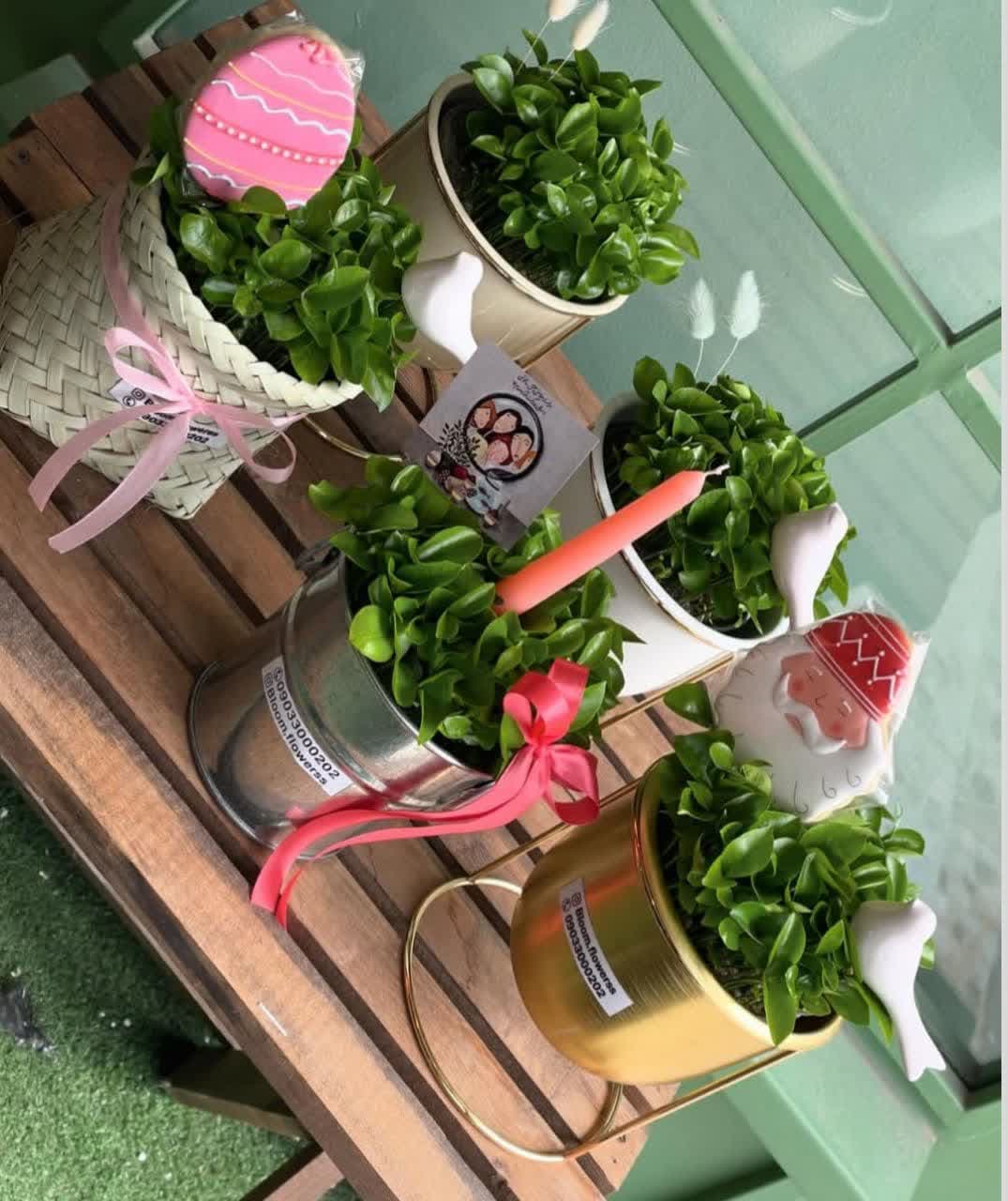 model sabzeh eid (26)