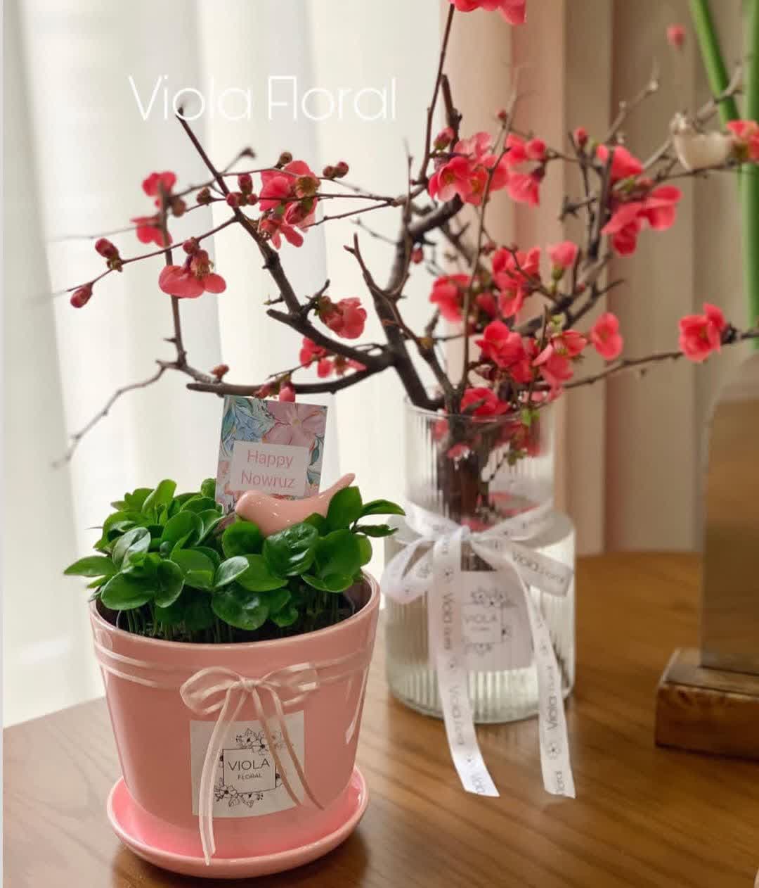 model sabzeh eid (27)