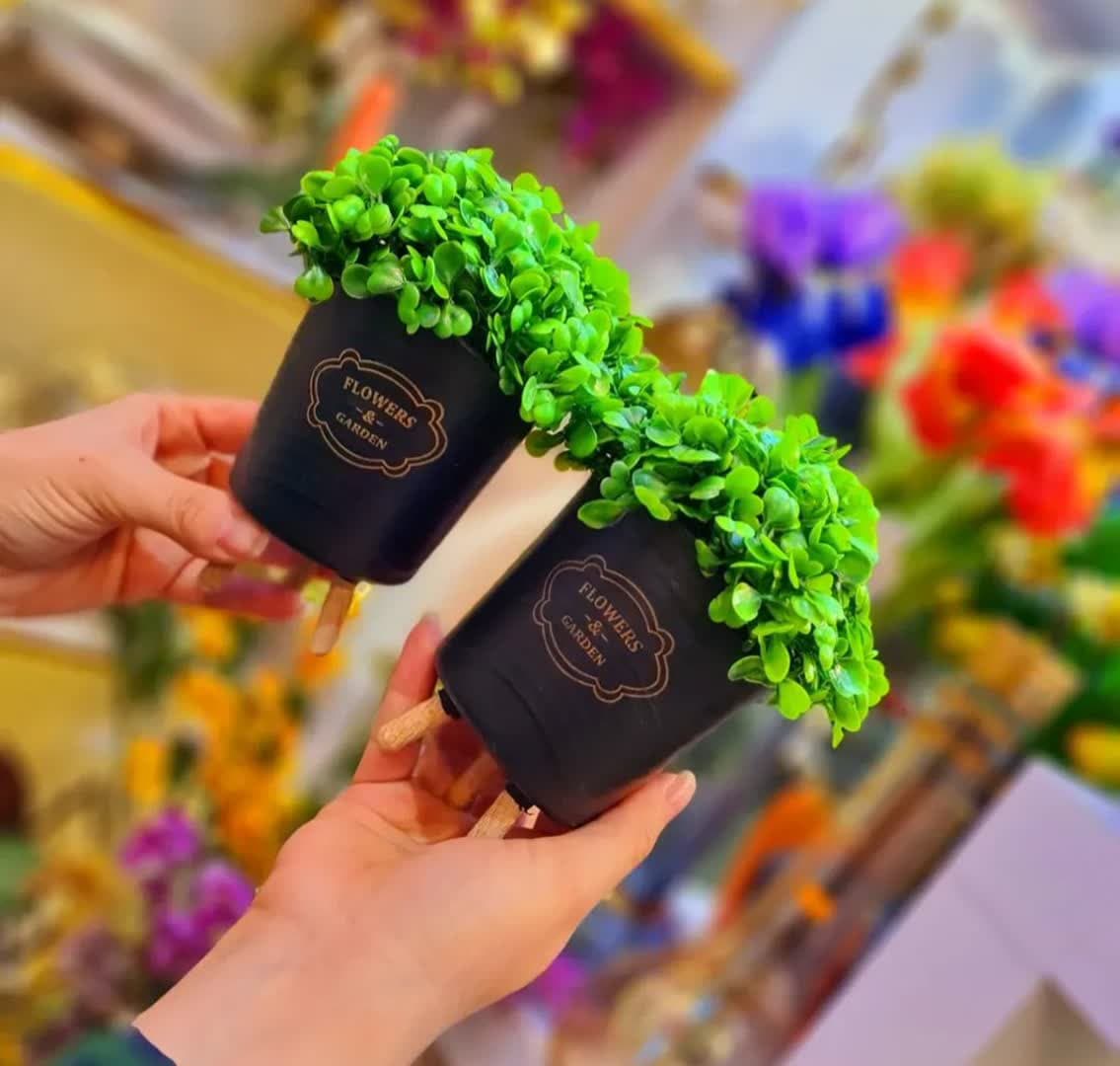 model sabzeh eid (31)