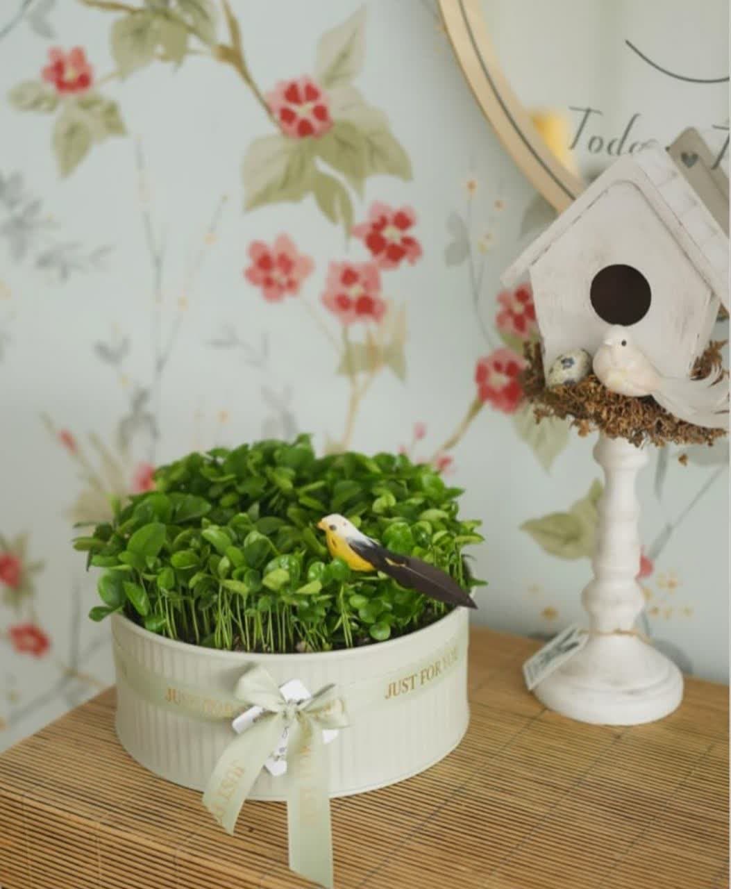 model sabzeh eid (35)