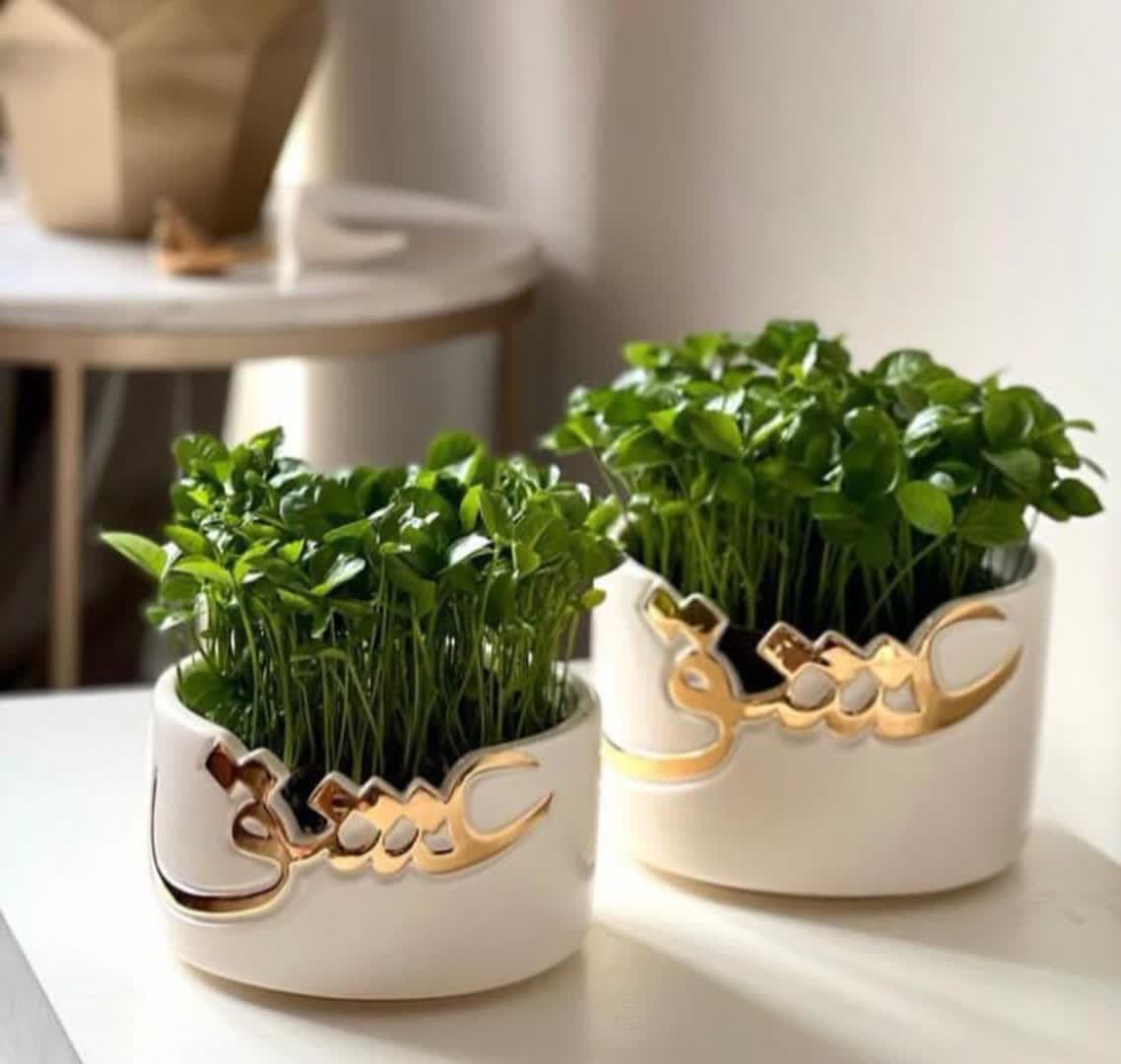 model sabzeh eid (38)