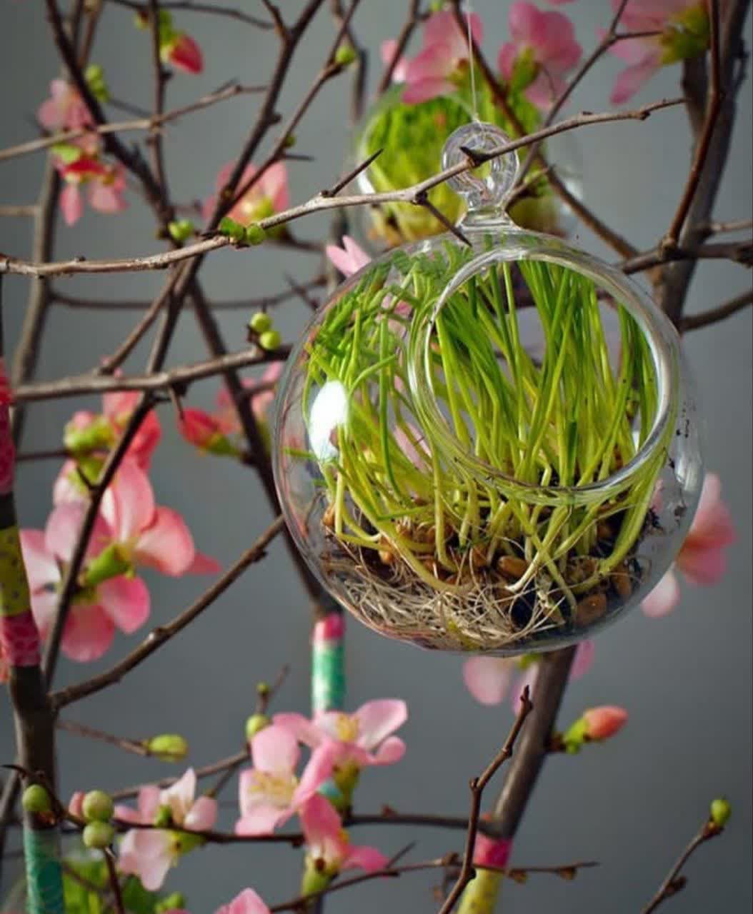 model sabzeh eid (40)