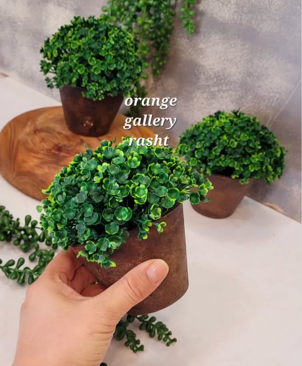 model sabzeh eid (37)