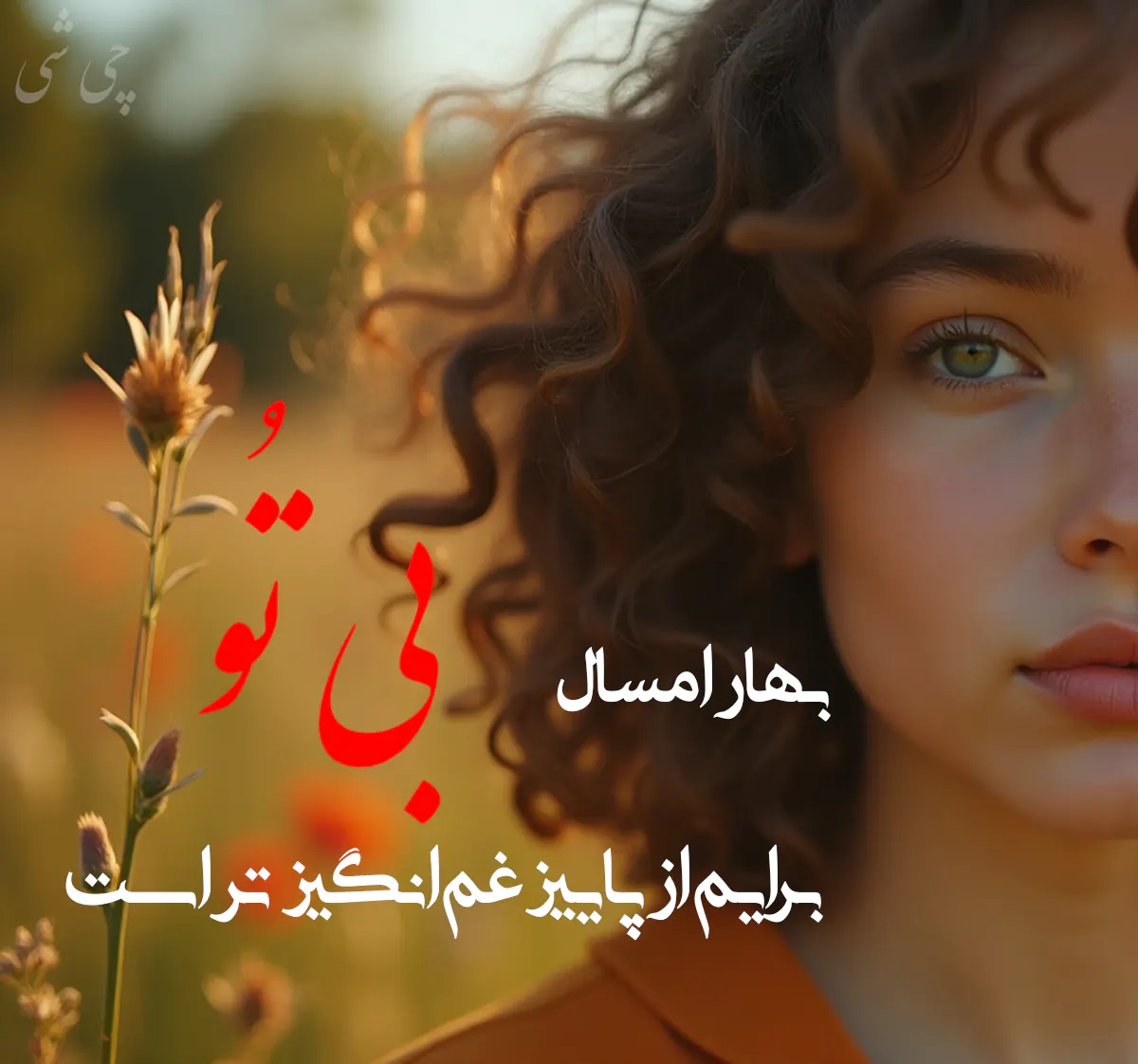 aks tabrik eid noroz (2)