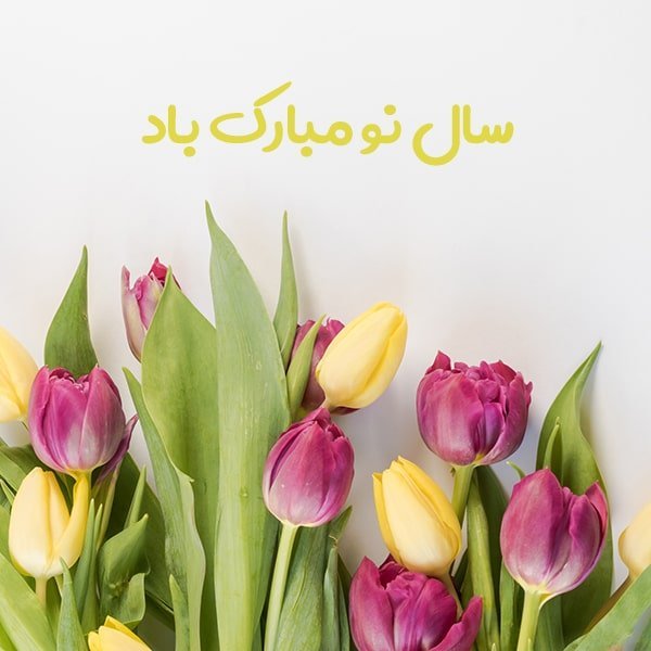 aks tabrik eid noroz (3)