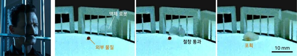 ترمیناتور در دنیای واقعی؛ این ربات مایع می‌تواند از زندان فرار کند! + ویدیو_اصفهانیا