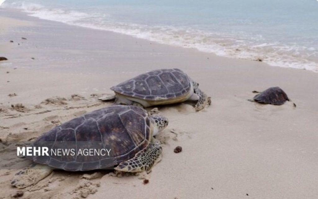 دوراهی سبزشویی یا عمل اصلاحی پیش‌روی شهرداری اصفهان