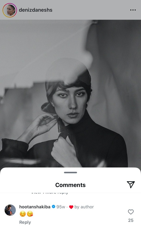 بیوگرافی دنیز دانش صمدی و همسرش 45 Deniz Danesh Samadi (1)