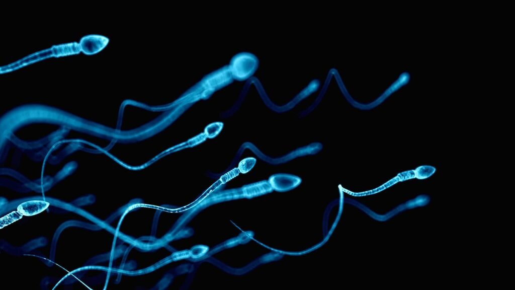 قرص ضدباروری غیرهورمونی مردانه برای اولین بار داخل فاز آزمایش بالینی شد_اصفهانیا