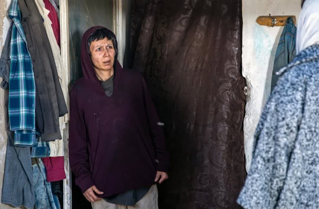  farank kolanter (11)