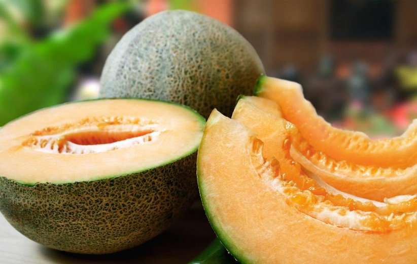 cantaloupe (1)