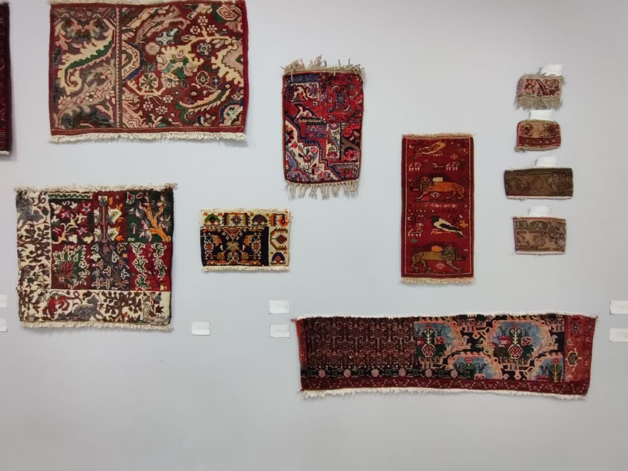 دیدار با اورنک 10 4