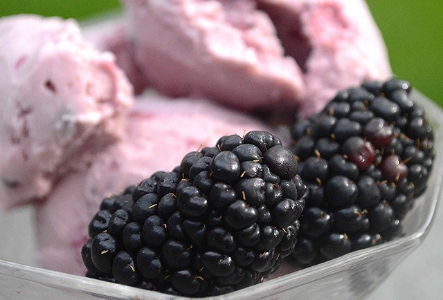 نحوه تهیه بستنی شاتوت با ثعلب و بدون آن 6 بستنی شاتوت (1)