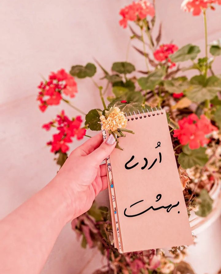 ardibeheshts profile (1)