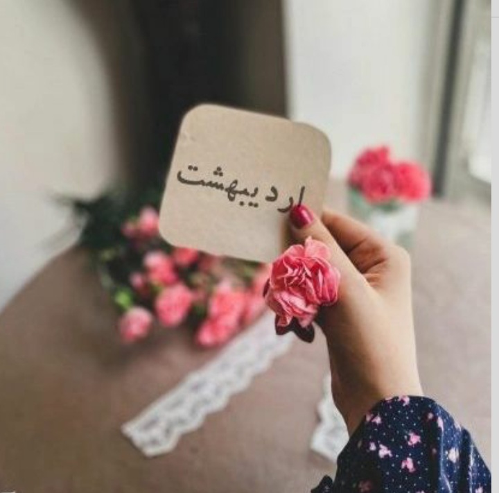 ardibeheshts profile (2)