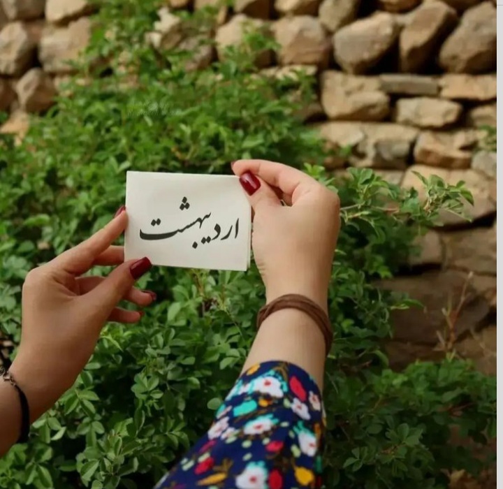 ardibeheshts profile (3)