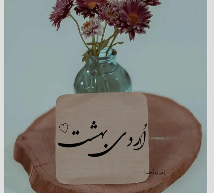 ardibeheshts profile (4)