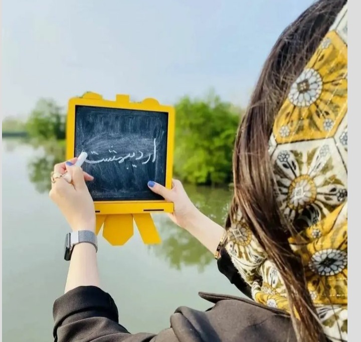 ardibeheshts profile (5)