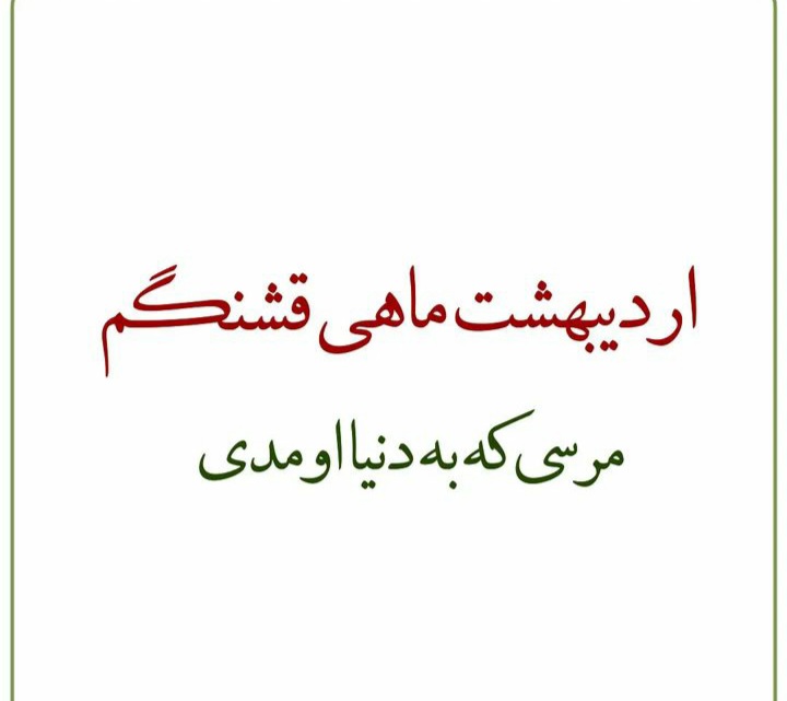 ardibeheshts profile (7)