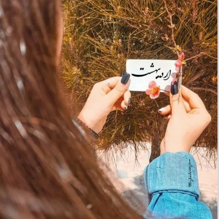 ardibeheshts profile (9)