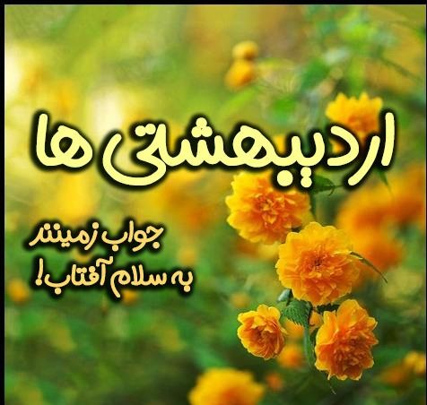 ardibeheshts profile (20)