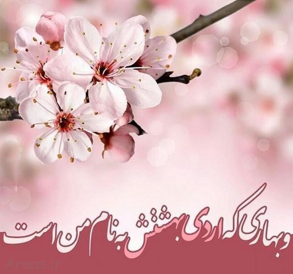 ardibeheshts profile (15)