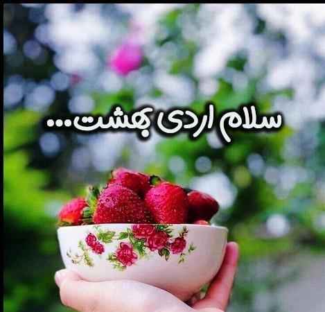 ardibeheshts profile (19)