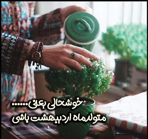 ardibeheshts profile (22)