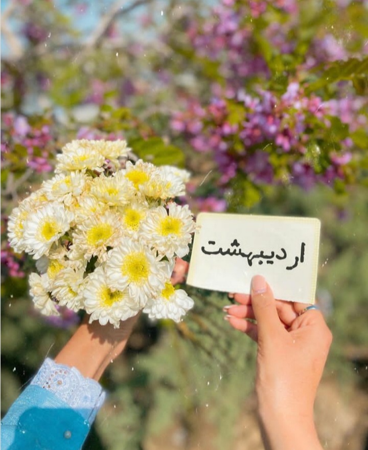 ardibeheshts profile (23)