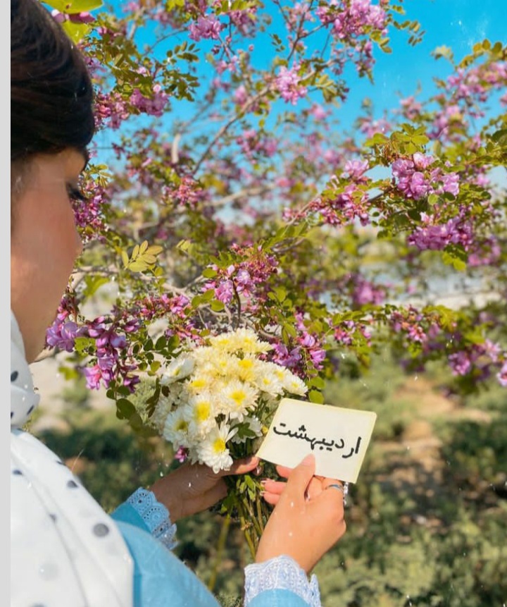 ardibeheshts profile (24)