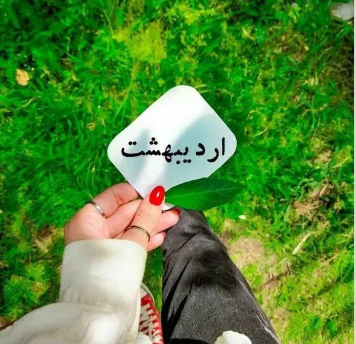 ardibeheshts profile (38)