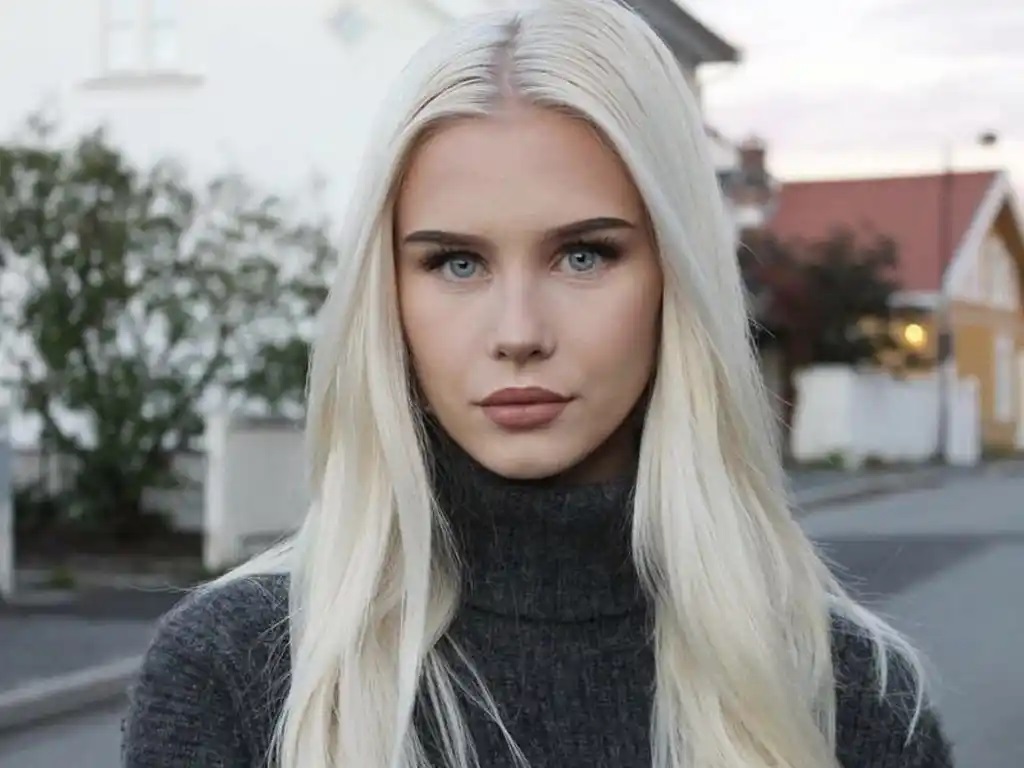 رنگ یخی اسکاندیناوی