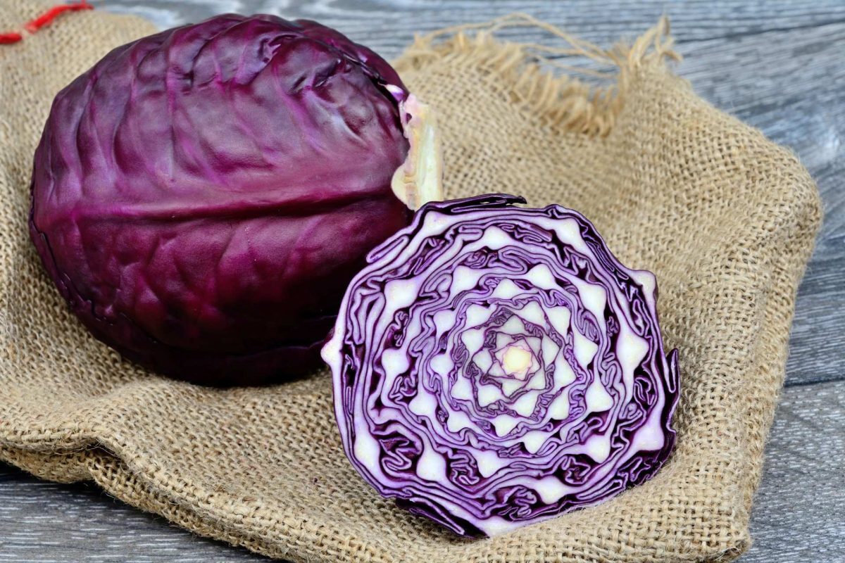 طبع کلم قرمز سرد است یا گرم؟؛ خواص و زیان های کلم قرمز 10 Red cabbage (2)