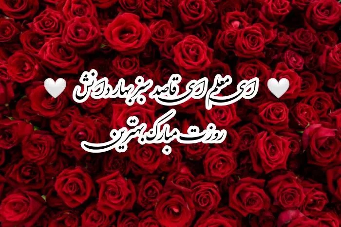 عکس روز معلم مبارک (7)