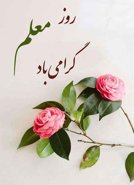 عکس روز معلم مبارک (31)