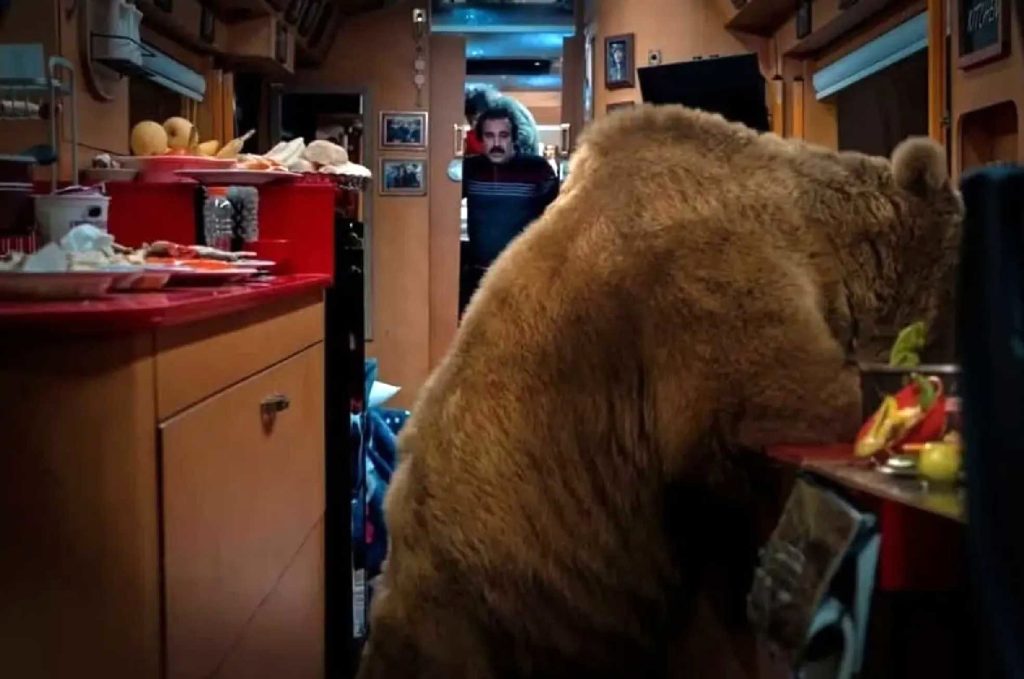 از هیجان «پایتخت» تا رنج حیوانات صفه