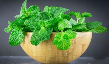 مواد غذایی مفیدی که همانند داروی ضدتهوع عمل می‌کنند_اصفهانیا