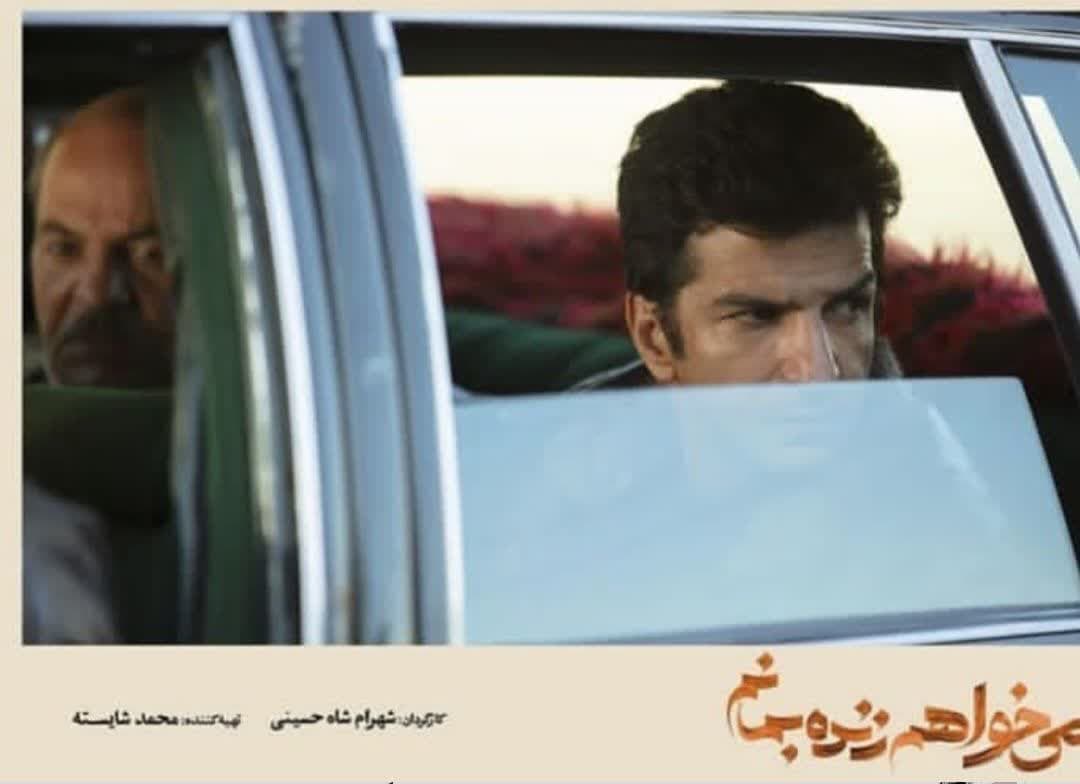Mehdi Sabbaghi (8)