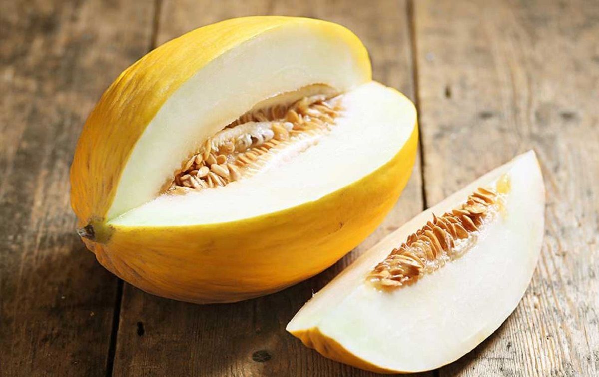 Melon (1)