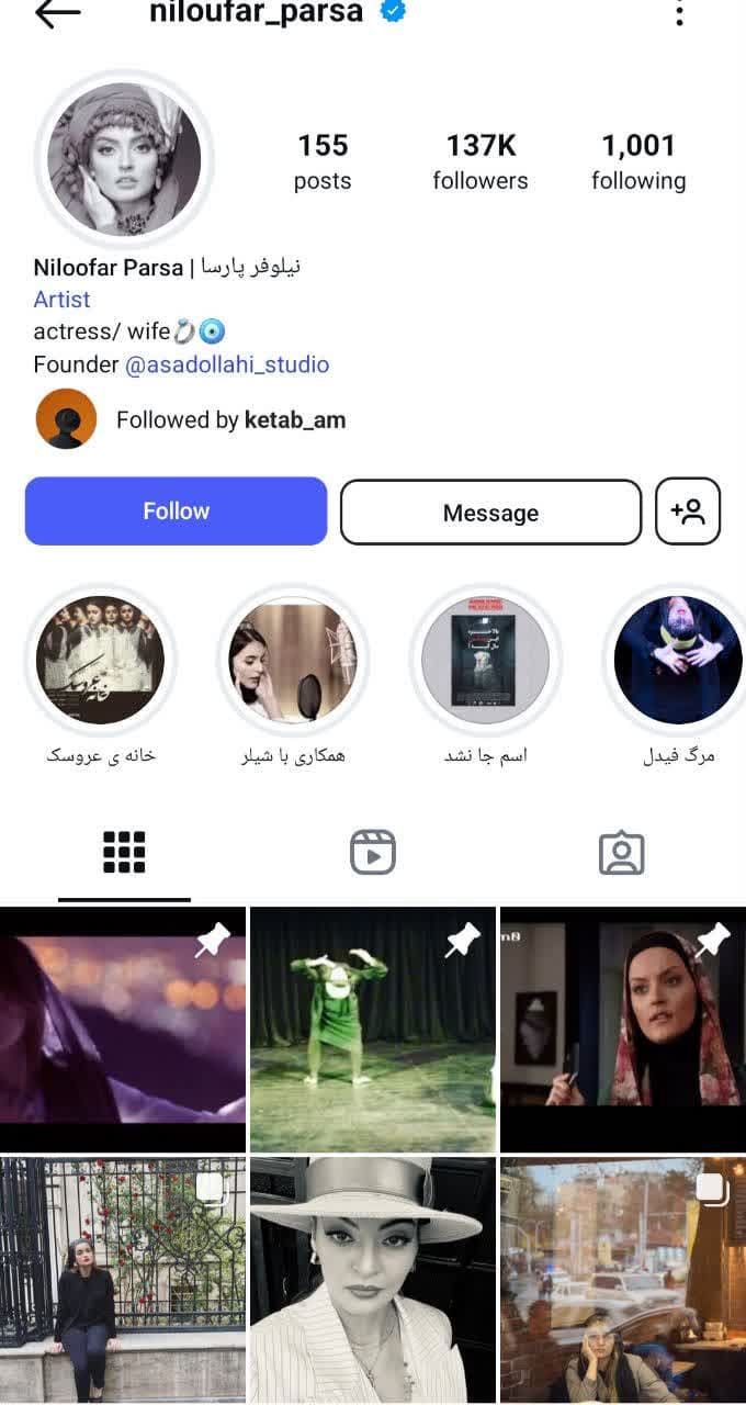 نیلوفر پارسا (17)