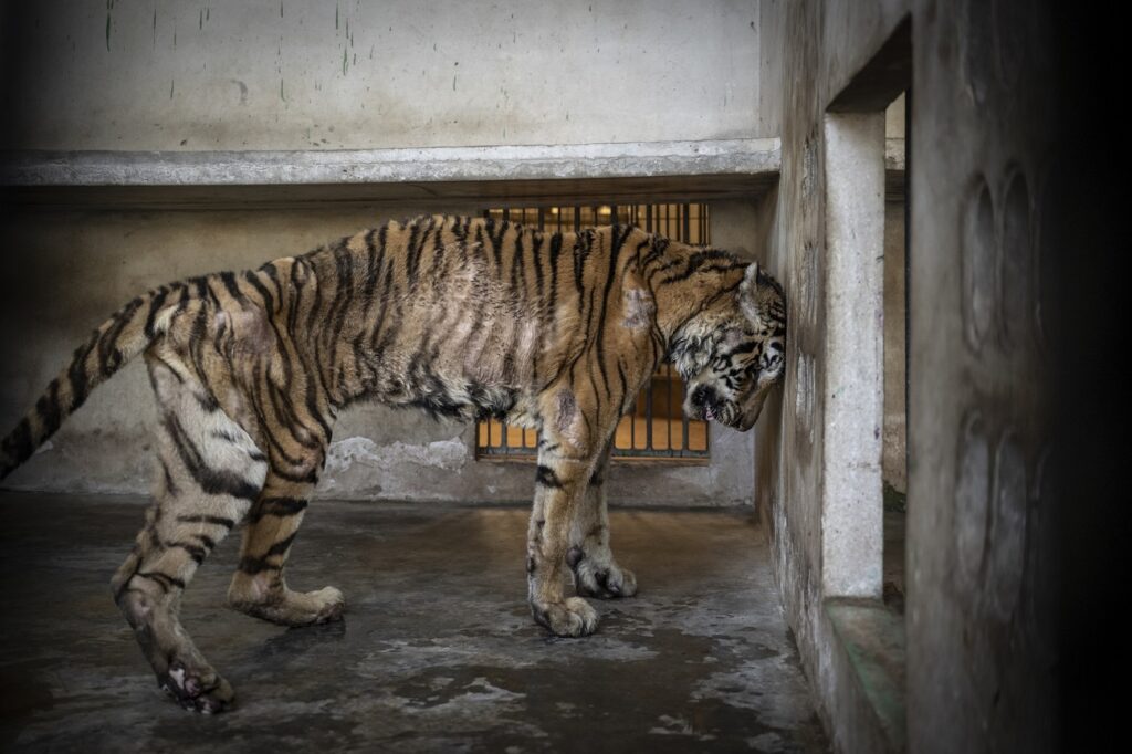 1747240635 879 برندگان مسابقه عکاسی محیط‌زیست 2025 معارفه شدند گالری اصفهانیا