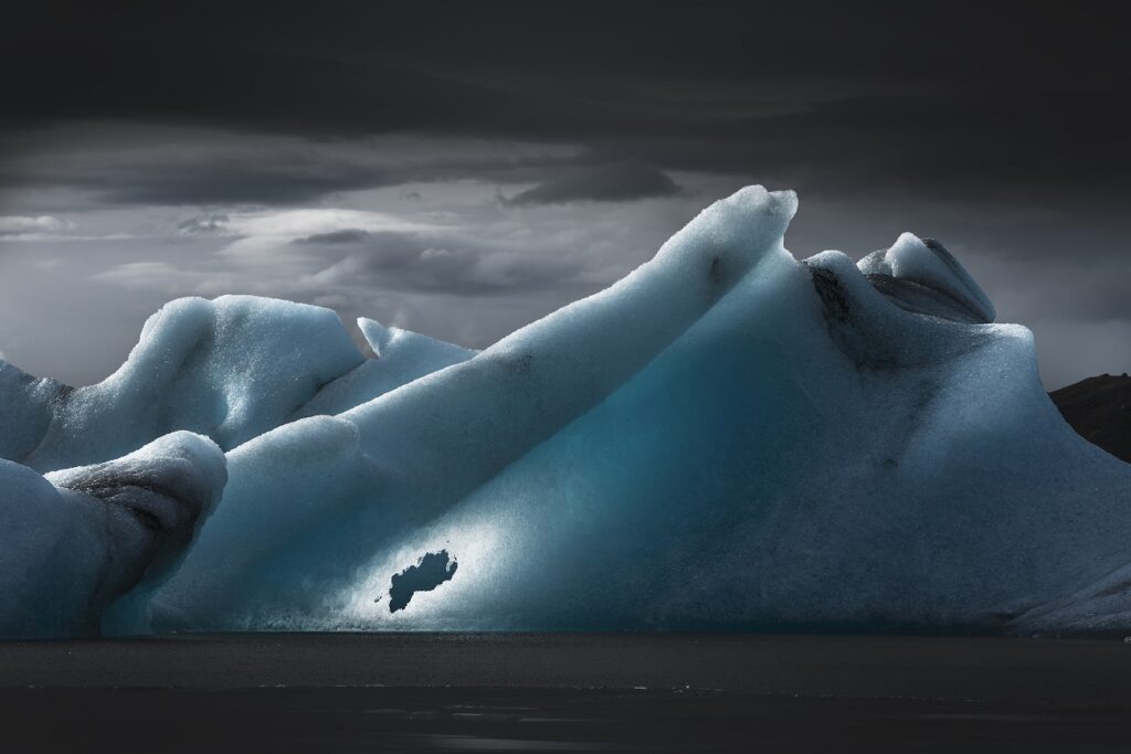 مسابقه عکاسی محیط‌زیست 2025