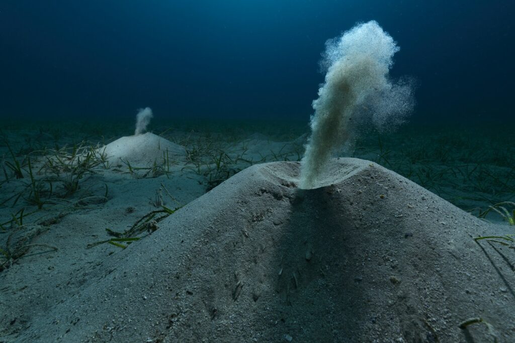 مسابقه عکاسی محیط‌زیست 2025