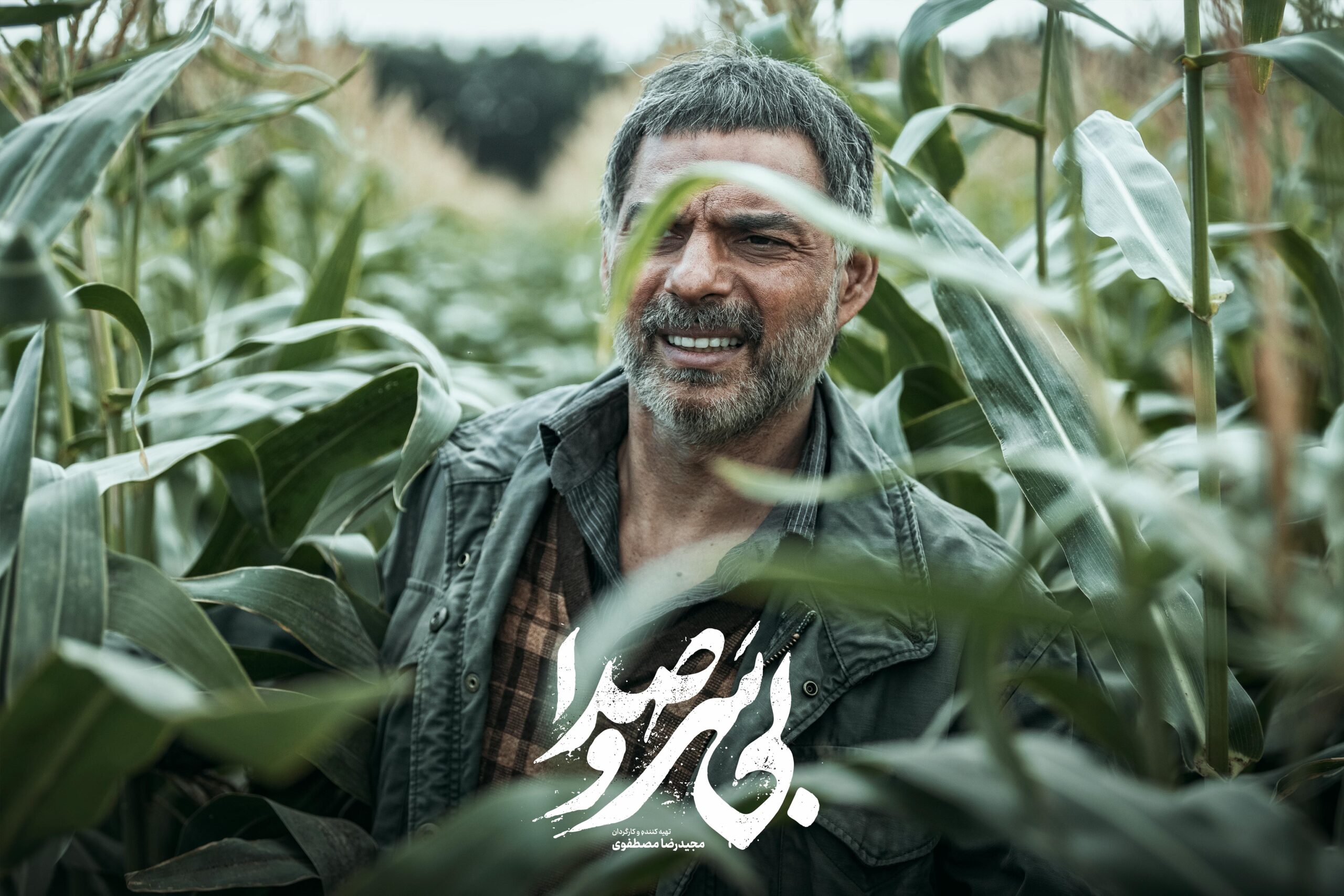 فیلم بی سر و صدا (11)