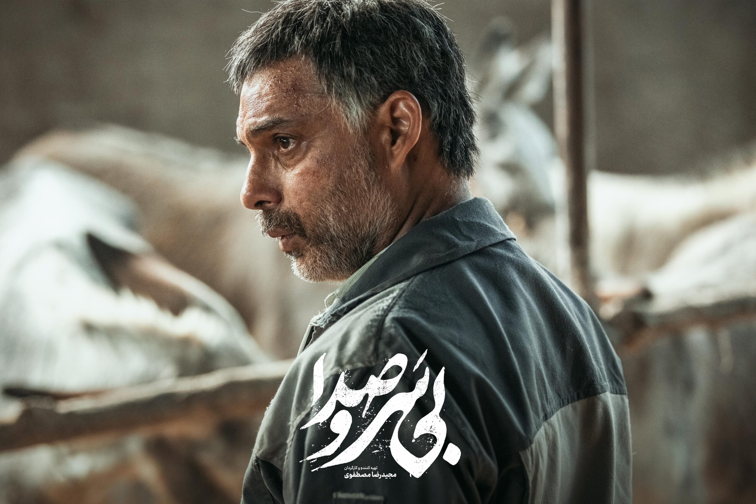 فیلم بی سر و صدا (5)