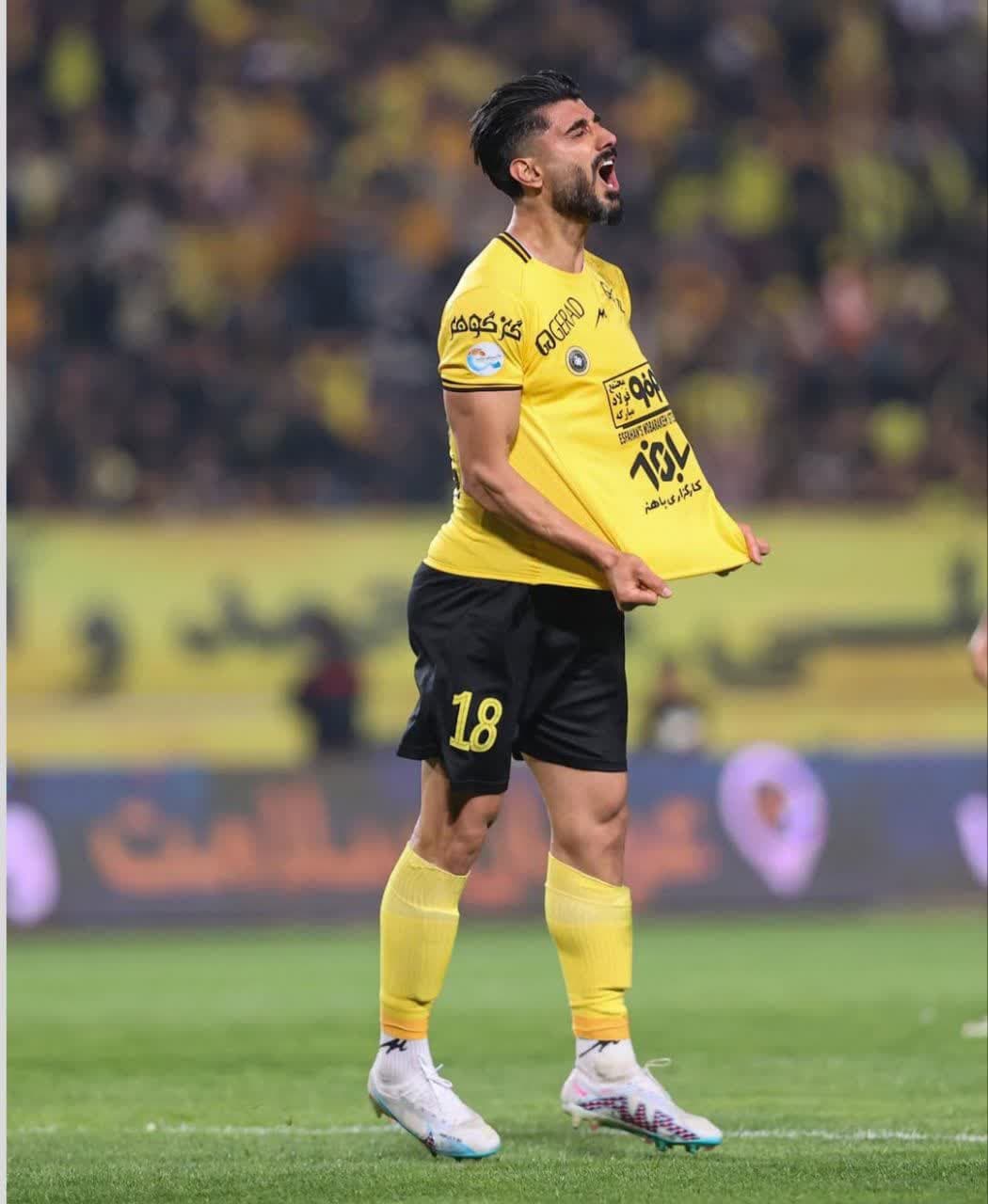 میلاد زکی پور (7)